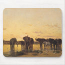 Search for water hole mousepads Sunset