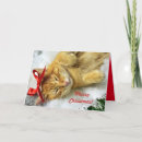 Search for orange cat christmas cards Winter