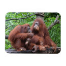 Recherche de petit déjeuner magnets Famille