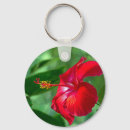 Search for hibiscus keychains Garden