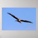 Search for wingspan posters Nature