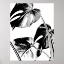 Search for monstera posters Leaves
