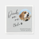 Search for dog napkins Drinks on me