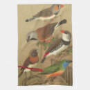Recherche de chanson cuisine linges Oiseau