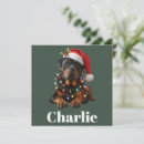 Search for rottweiler christmas cards Santa paws