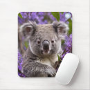 Recherche de koala tapis souris Australien