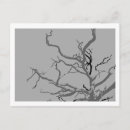Search for black and white abstract art postcards Simple