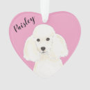 Recherche de caniche standard ornements Noël