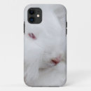 Search for angora Angora rabbit