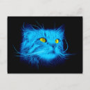 Search for kitty face postcards Blue