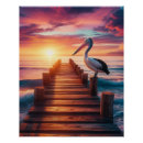 Recherche de oiseaux marins posters Animal