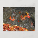 Recherche de cascades photographie Automne