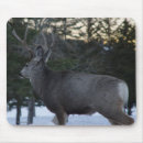 Recherche de cerf commun tapis souris Pour tous