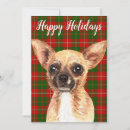 Recherche de chihuahuas vœux cartes Vert