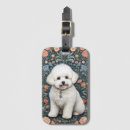 Recherche de bichon frisé Pour elle