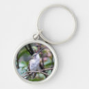 Search for ruby throated keychains Birds