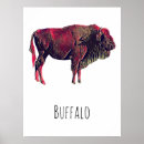 Recherche de bison de buffle posters Taureau