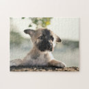 Search for german shepherd puzzles Outdoors