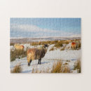 Search for snow scene puzzles Background