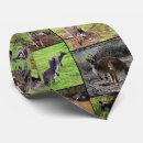 Recherche de kangaroo cravates Faune
