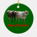 Recherche de moo ornamente Vaches