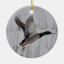 Recherche de papy ornements Pour tous