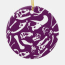 Search for dinosaurs ornaments Tyrannosaurus