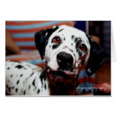 Search for spot photography Spots