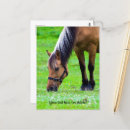 Search for cad cards Cute