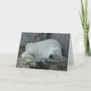 Search for zoo christmas cards Animals