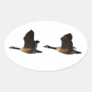 Search for geese stickers Flight