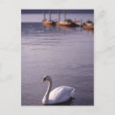 Search for lake windermere postcards England