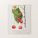 Recherche de cerise puzzles Fruit