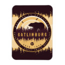 Search for gatlinburg magnets Hiking