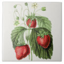 Recherche de fraises rouges carreaux Pour elle