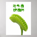 Search for bog posters Wetland