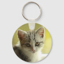 Search for kitty keychains Feline