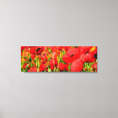 Search for poppy field canvas prints Nature