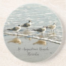 Search for shore bird Coast