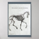 Search for anatomy chart posters Horse