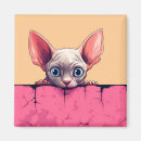 Search for peek a magnets Kawaii