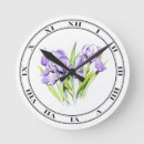 Recherche de iris horloges Jardin