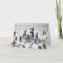 Search for group christmas cards Winter