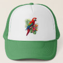 Search for macaws hats Parrot
