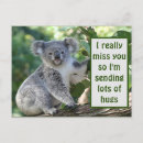 Search for send postcards Animal
