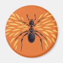 Search for entomology magnets Bugs
