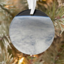 Search for cast ornaments Earth