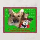 Search for deer quotes cards Reindeer