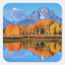 Search for colour changing stickers Autumn