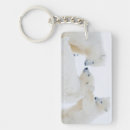 Search for the arctic keychains Polar bear